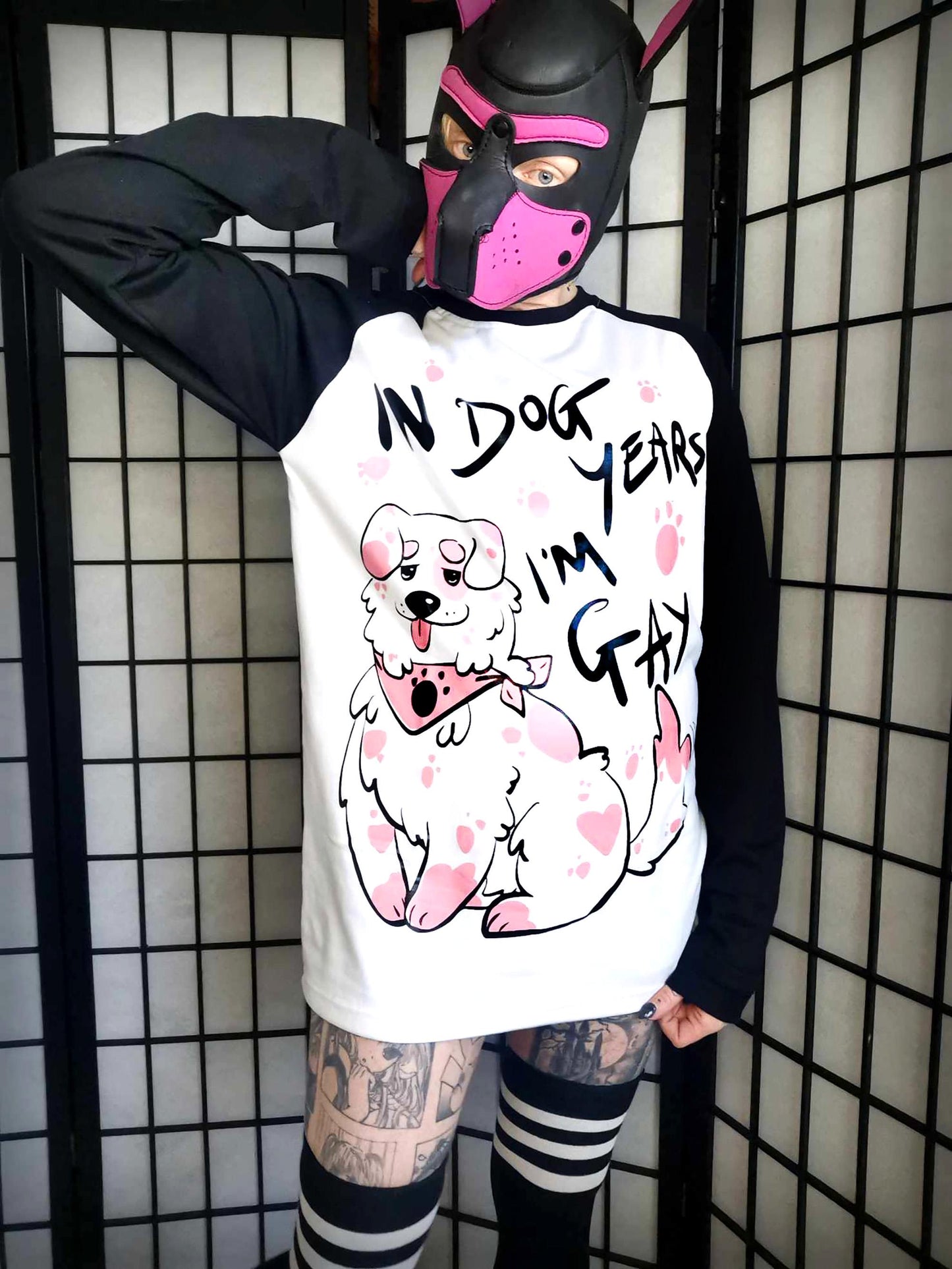 Black In Dog Years I'm Gay Full Outfit/T-shirt (Sizes: S-2XL)