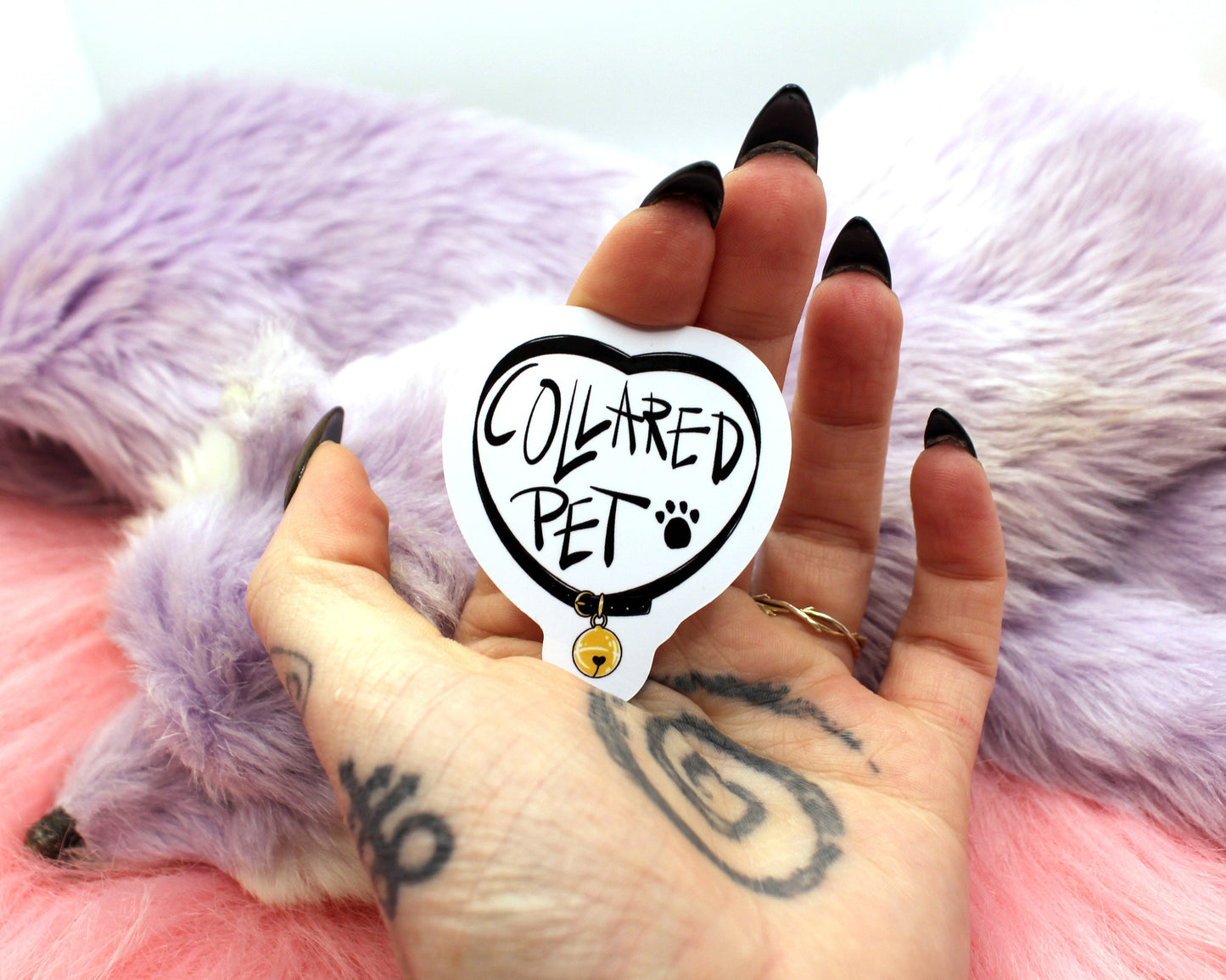 Collared Pet Sticker
