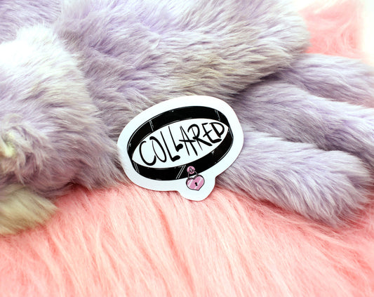 Collared Sticker