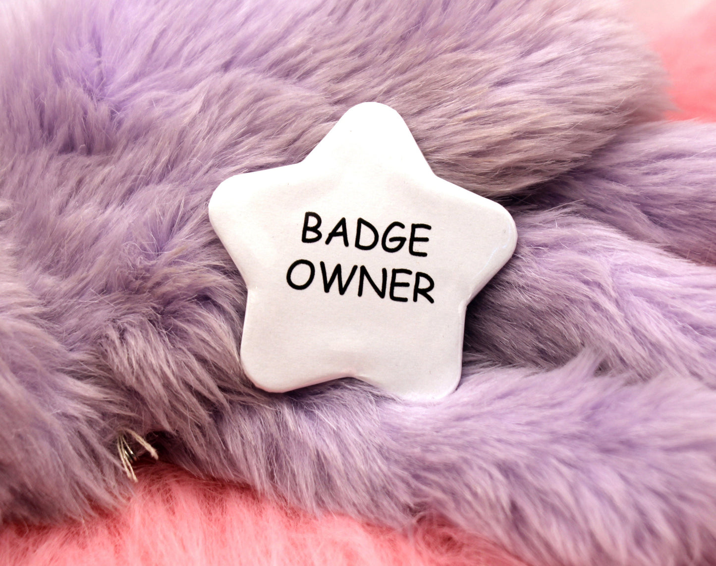 Badge Owner Star Badge