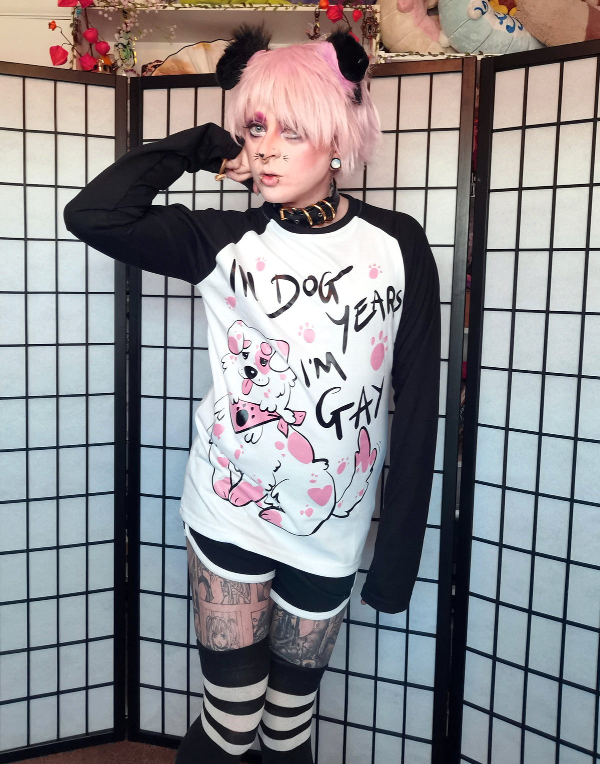 Black In Dog Years I'm Gay Full Outfit/T-shirt (Sizes: S-3XL)