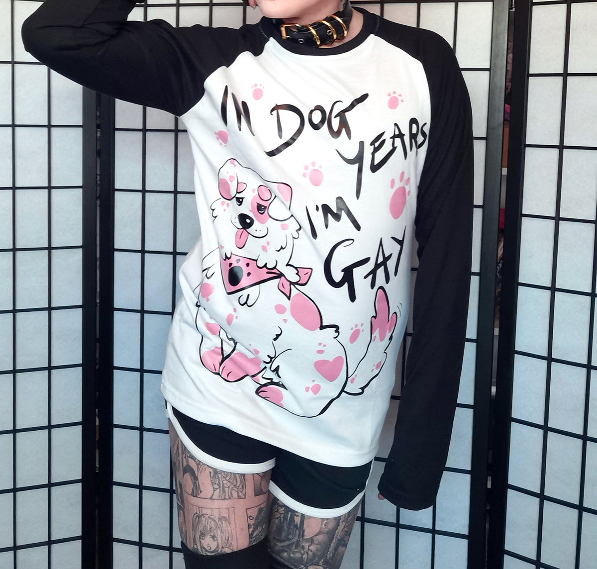 Black In Dog Years I'm Gay Full Outfit/T-shirt (Sizes: S-3XL)