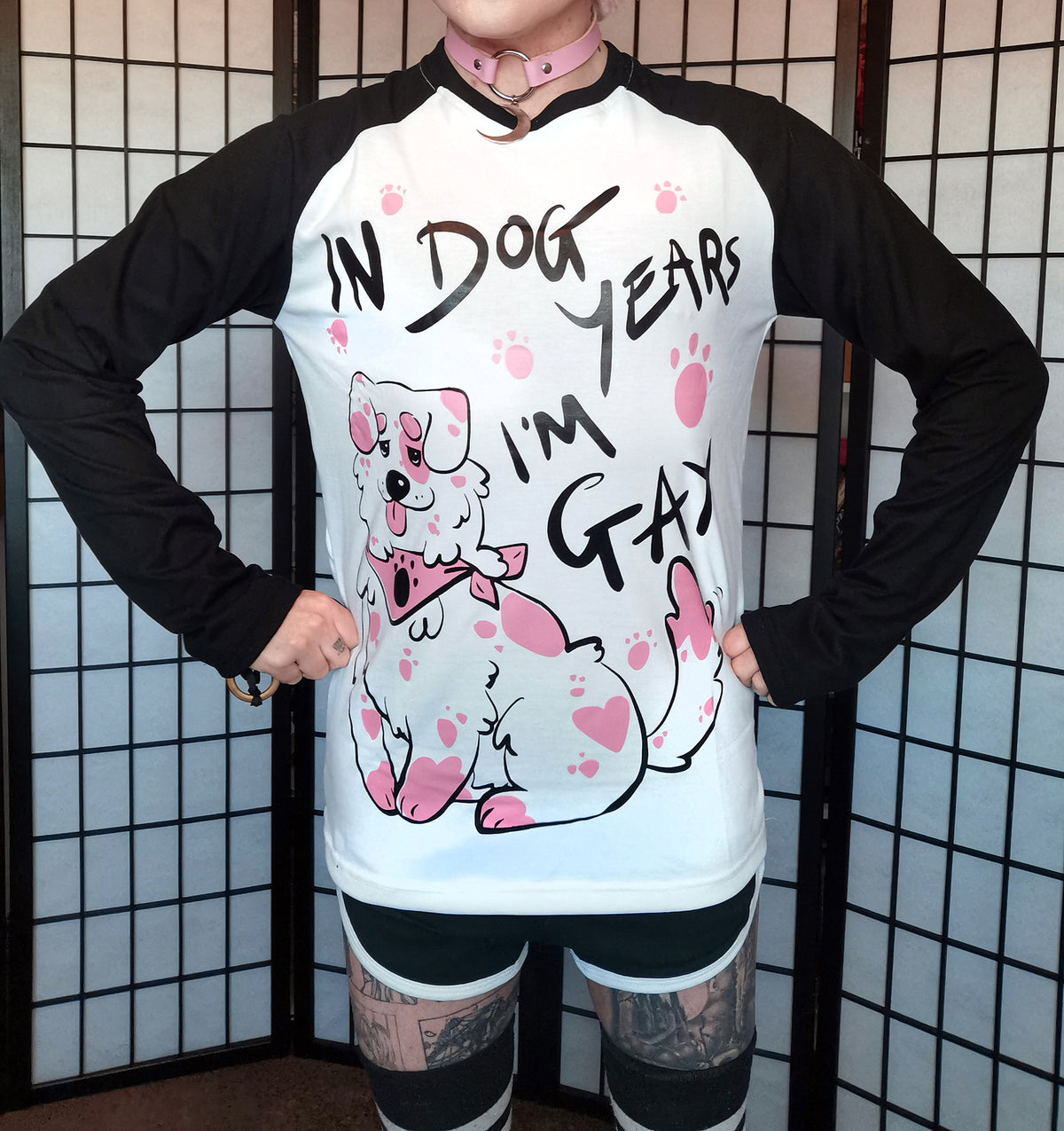 Black In Dog Years I'm Gay Full Outfit/T-shirt (Sizes: S-3XL)