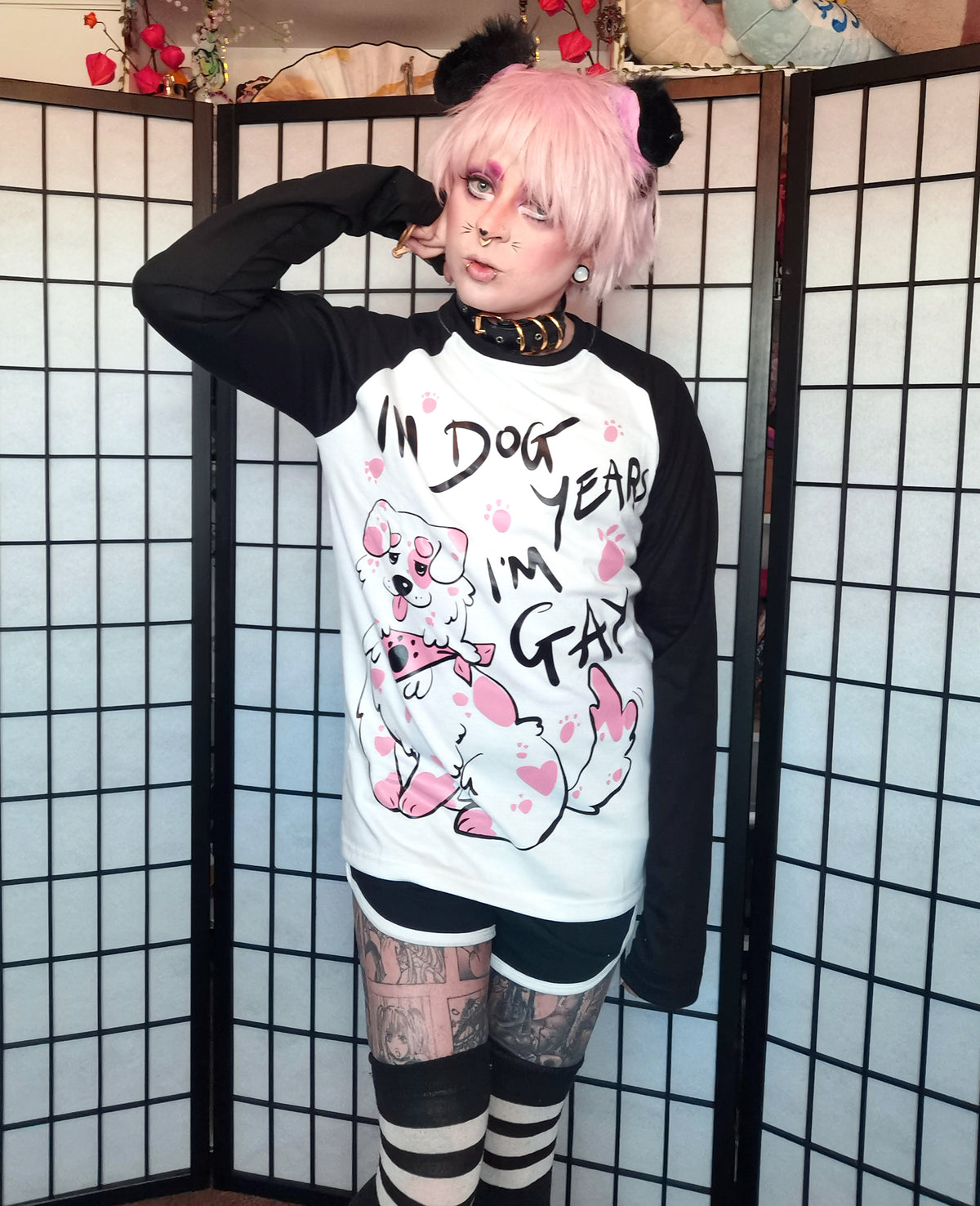 Black In Dog Years I'm Gay Full Outfit/T-shirt (Sizes: S-3XL)