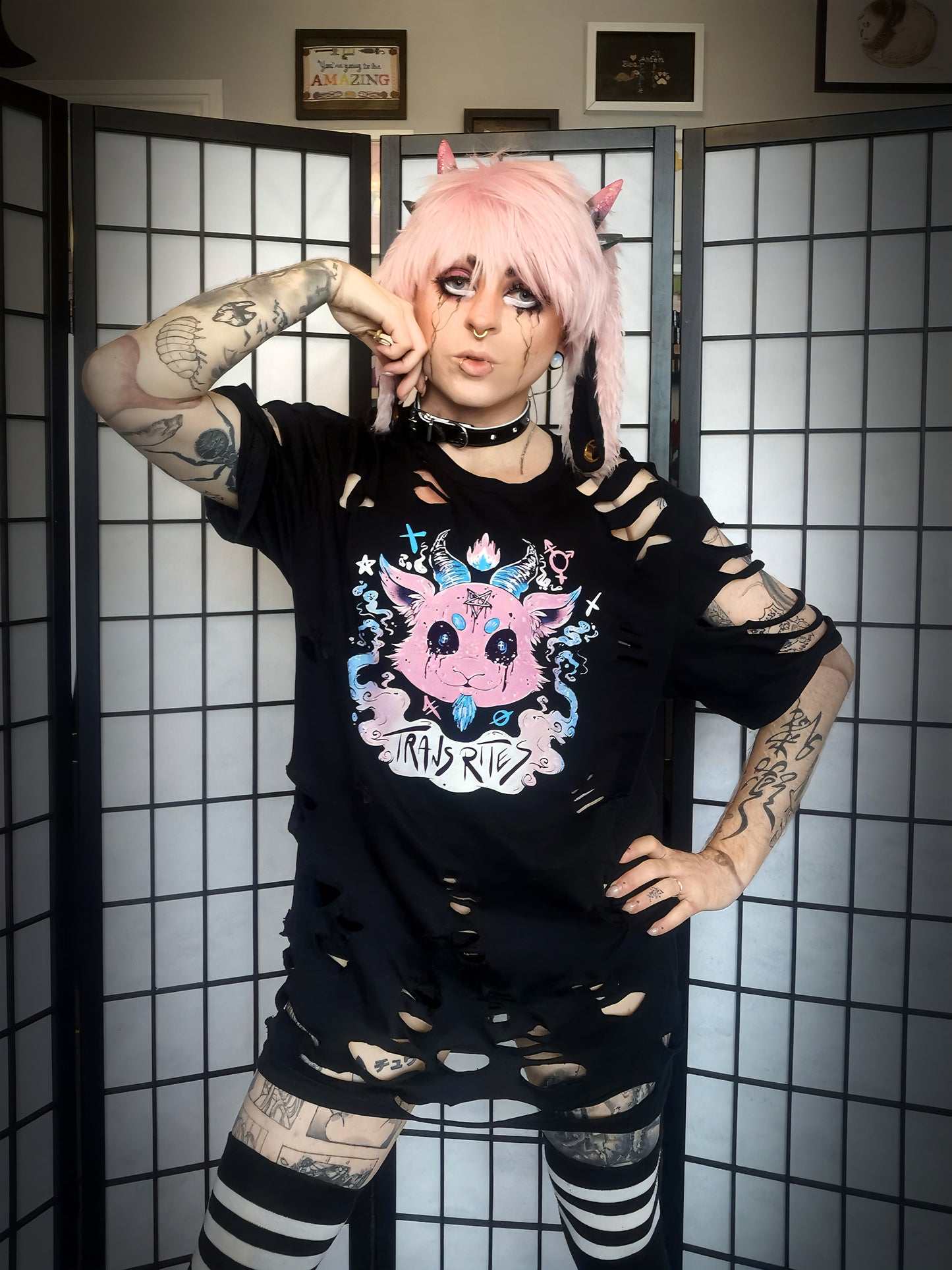 Trans Rites Transgender Baphomet T-shirt (Sizes S-4XL)