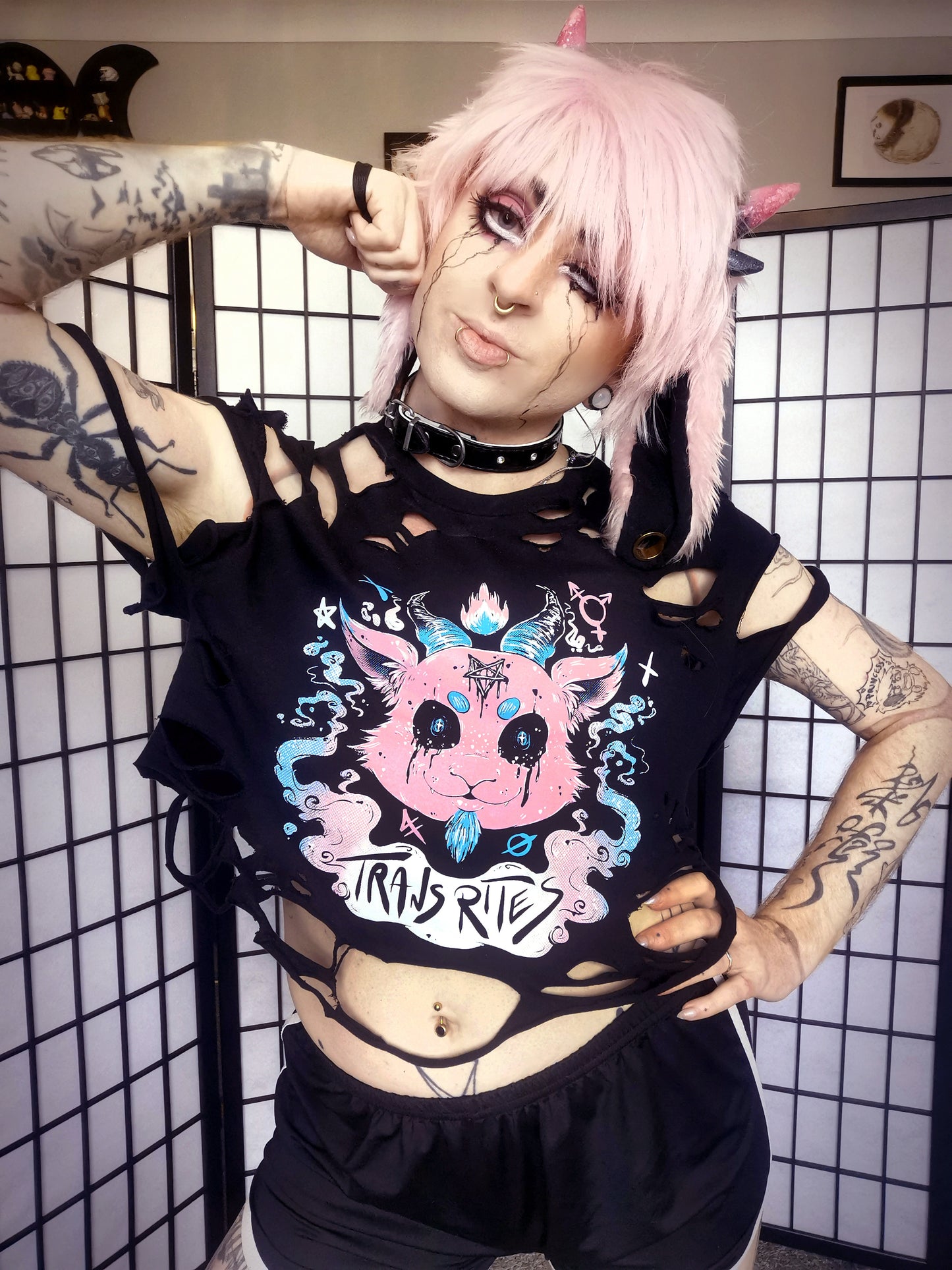Trans Rites Transgender Baphomet T-shirt (Sizes S-4XL)