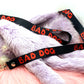 Bad Dog 90cm Lanyard