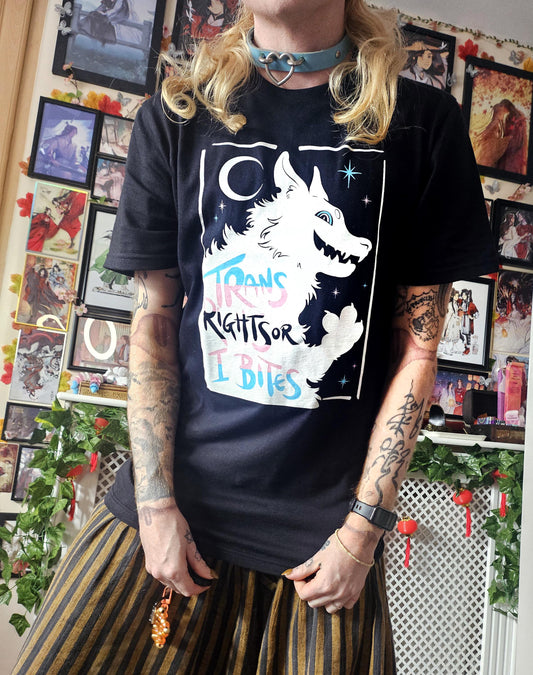 Trans Rights or I Bites Black T-shirt (S-4XL)